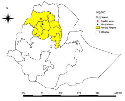 Estimating the Economic Impact and Assessing Owners' Knowledge and Practices of Epizootic Lymphangitis in Equine Cart Animals in Central and South Gondar Zones, Amhara Region, Ethiopia